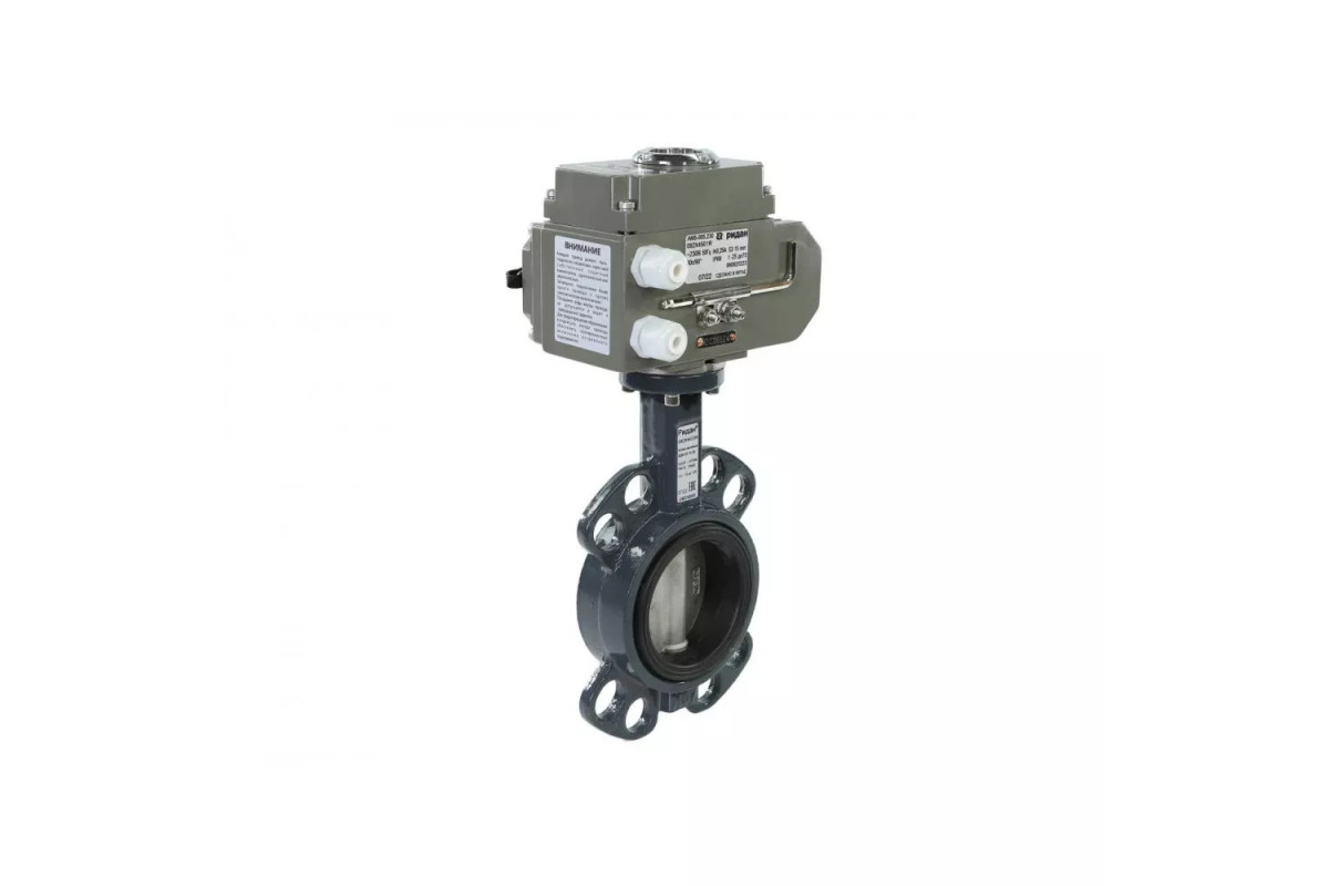 Затвор Ридан PN16 DN80 нерж/EPDM/ЭП220В DN80 с электрическим приводом АМБ | 082X4545R