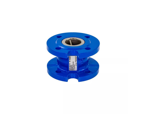 Ridan NVD-402R PN16 DN250 Клапан обратный, чугунный | 082X8478R