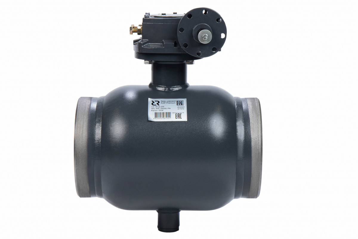Ридан RJIP Premium (Премиум) 065N0162GR — Кран шаровой WW DN250 PN25 GF (приварной, под привод, стандартный проход)